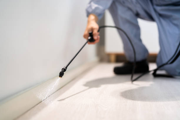 Bed Bug Pre-Treatment Preparation Assessment in Teutopolis