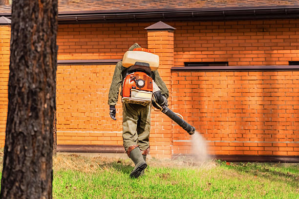 Bed Bug Clearance Verification and Documentation in Teutopolis